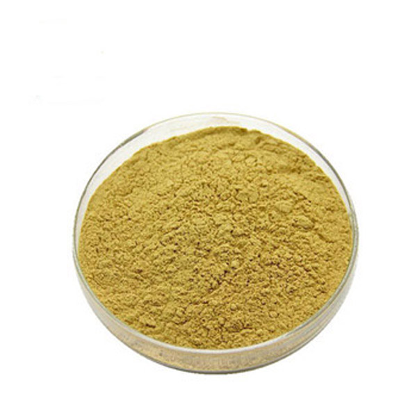 High Quality 2-Amino-4-nitrophenol 99-57-0 