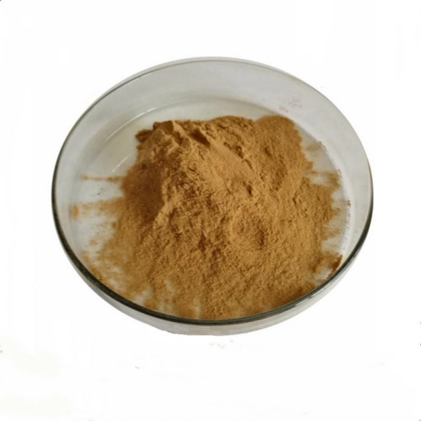 Supply High Purity Fulvic Acid CAS 479-66-3 Fulvic Acid Powder With Fast Delivery 