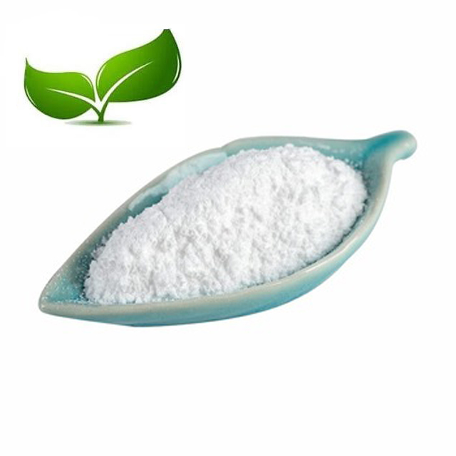 Supply High Purity Antiviral Agent Penciclovir CAS 39809-25-1 Penciclovir Powder 