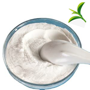 Supply High Purity Citicoline Sodium CAS 33818-15-4 Citicoline Sodium Powder With Competitive Price 