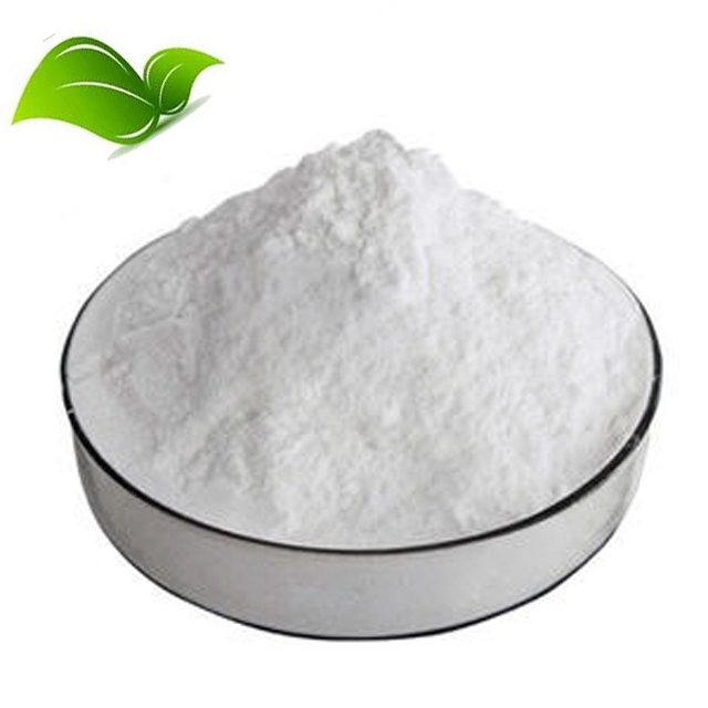 Supply Pharmaceutical Raw Powder Pramiracetam CAS 68497-62-1 Pramiracetam Powder 