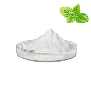 Supply High Purity Fasoracetam CAS 110958-19-5 Fasoracetam Powder 